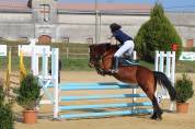 Poney PFS 2007