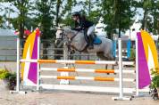 Ponette pour reproduction, PFS, 2010, 3pts PACE-Poney