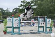 Hongre pour cso ou dressage 