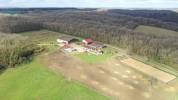 Charmante propriété équestre de 11 hectares en Bourgogne