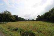 Charmante propriété équestre de 11 hectares en Bourgogne