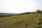 Charmante propriété équestre de 11 hectares en Bourgogne