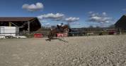 poney de sport à louer