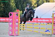Pony castrone 148 cm