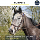 FLIBUSTE - PS - 4 ANS