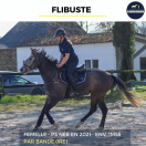 FLIBUSTE - PS - 4 ANS