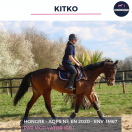 KITKO - AQPS - 5 ANS