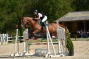 HONGRE 13 ANS Transition Poney Cheval