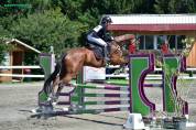 Cavallo in vendita