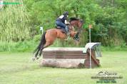 Cavallo in vendita