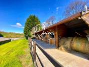 Domaine Équestre d'exception au Coeur du Pays d'Auge