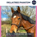 DELLATREE PHANTOM - PS - 6 ANS 