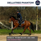 DELLATREE PHANTOM - PS - 6 ANS 