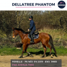 DELLATREE PHANTOM - PS - 6 ANS 