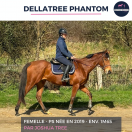 DELLATREE PHANTOM - PS - 6 ANS 