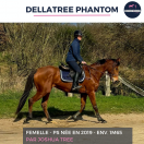 DELLATREE PHANTOM - PS - 6 ANS 