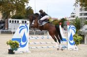 Mister Matcho hongre 8 ans par Balou du rouet 