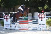 Mister Matcho hongre 8 ans par Balou du rouet 