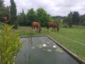 2 maisons, 3 dépendances sur 4,7 hectares label bio