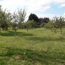 2 maisons, 3 dépendances sur 4,7 hectares label bio