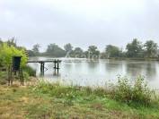 Propriété agricole & chasse en Puisaye