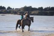 Haras, 33 hectares proche de la mer
