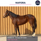 NAFORA - AQPS - 2 ANS