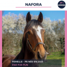 NAFORA - AQPS - 2 ANS