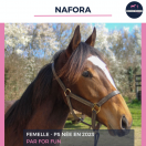 NAFORA - AQPS - 2 ANS