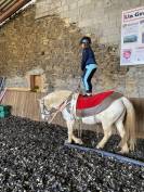 Stage équitation enfants de 6 à 15 ans 