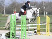 Jument SF de 7 ans idéale Amateur cso 