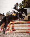 Olé de Buzalén, Caballo CDE en venta – Negro
