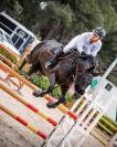 Olé de Buzalén, Caballo CDE en venta – Negro