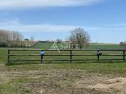 Proprietà equestre In vendita Orne