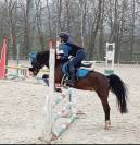 Pony da salto