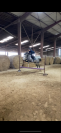 Poney de sport 