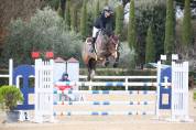 Cavallo per prendere primo grado 