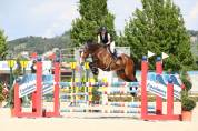 Cavallo per prendere primo grado 