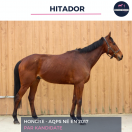 HITADOR - AQPS - 8 ANS 