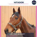 HITADOR - AQPS - 8 ANS 