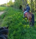 Franches-Montagnes 