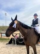 Jument Cso / dressage 