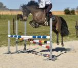 PONETTE D JUMPING 