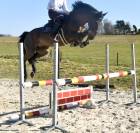 PONETTE D JUMPING 