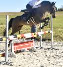 PONETTE D JUMPING 