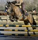 PONETTE D JUMPING 