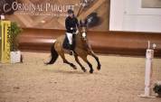 Cavallo Fabolous H.S.