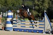 Cavallo Fabolous H.S.