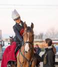 Cavallo Fabolous H.S.