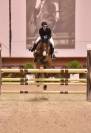 Cavallo Fabolous H.S.